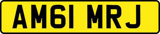 AM61MRJ