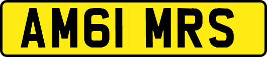 AM61MRS