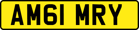AM61MRY