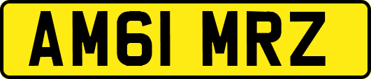 AM61MRZ