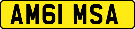 AM61MSA