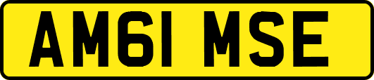 AM61MSE