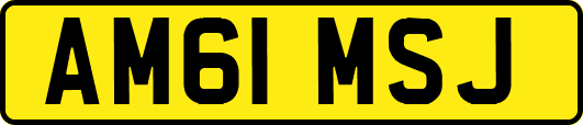 AM61MSJ