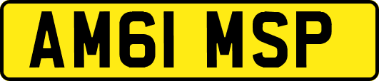 AM61MSP
