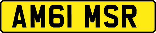 AM61MSR