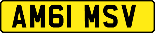 AM61MSV