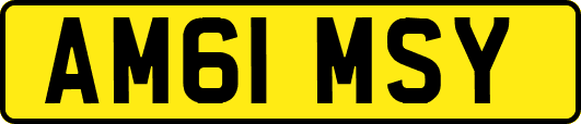 AM61MSY