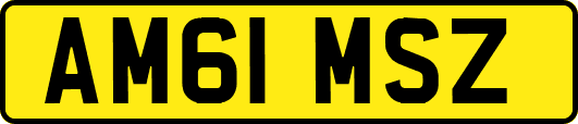 AM61MSZ