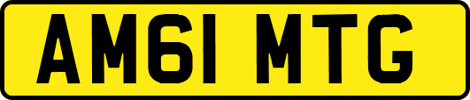 AM61MTG