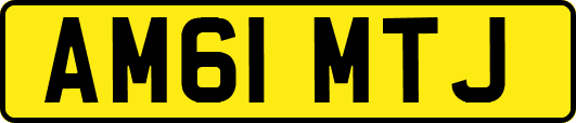 AM61MTJ
