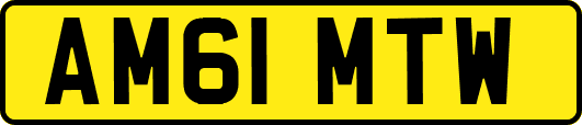 AM61MTW