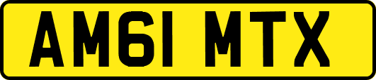 AM61MTX