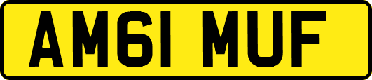 AM61MUF