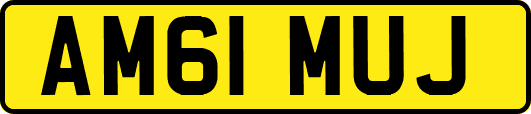 AM61MUJ
