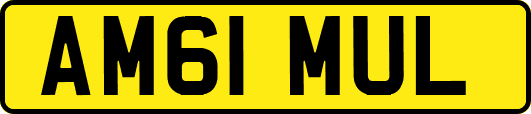 AM61MUL