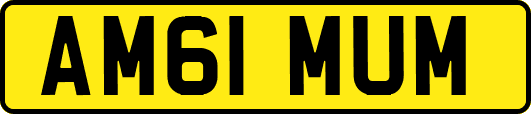 AM61MUM