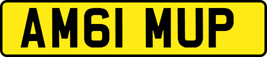 AM61MUP