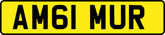 AM61MUR