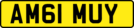 AM61MUY