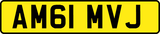 AM61MVJ