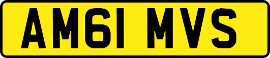AM61MVS