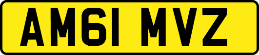 AM61MVZ