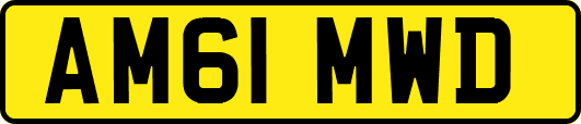 AM61MWD