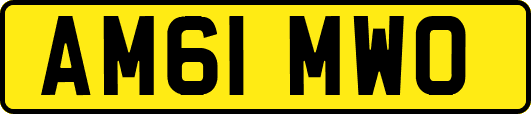 AM61MWO