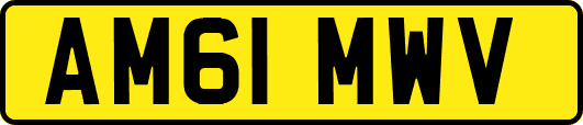 AM61MWV