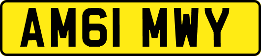 AM61MWY