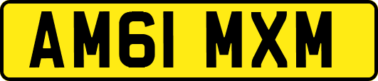 AM61MXM