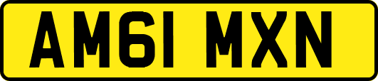 AM61MXN