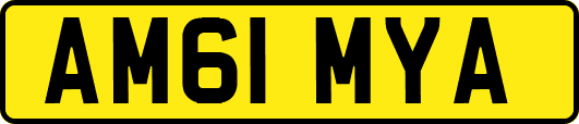 AM61MYA