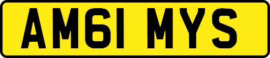 AM61MYS