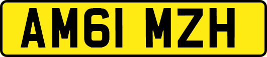 AM61MZH