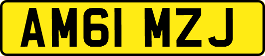 AM61MZJ