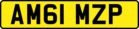 AM61MZP