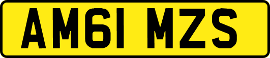 AM61MZS