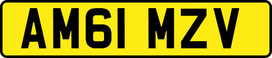 AM61MZV