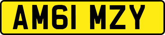 AM61MZY