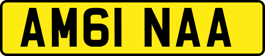 AM61NAA