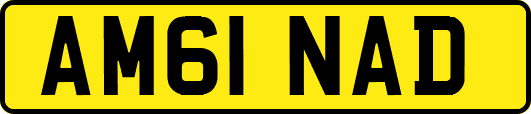 AM61NAD