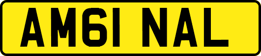 AM61NAL