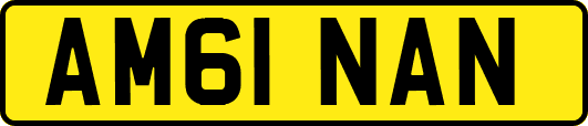 AM61NAN