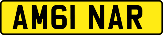 AM61NAR