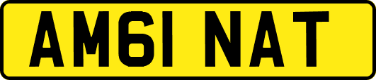 AM61NAT