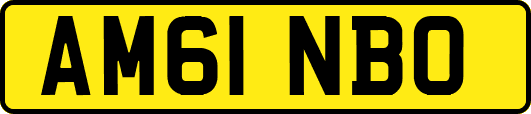 AM61NBO
