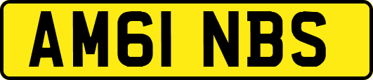 AM61NBS