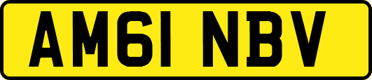 AM61NBV