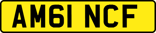 AM61NCF